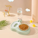 Double Pet Feeder Bowl