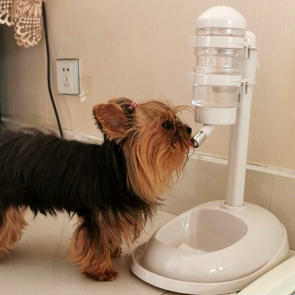 Pet Non-Wet Mouth Dispenser.