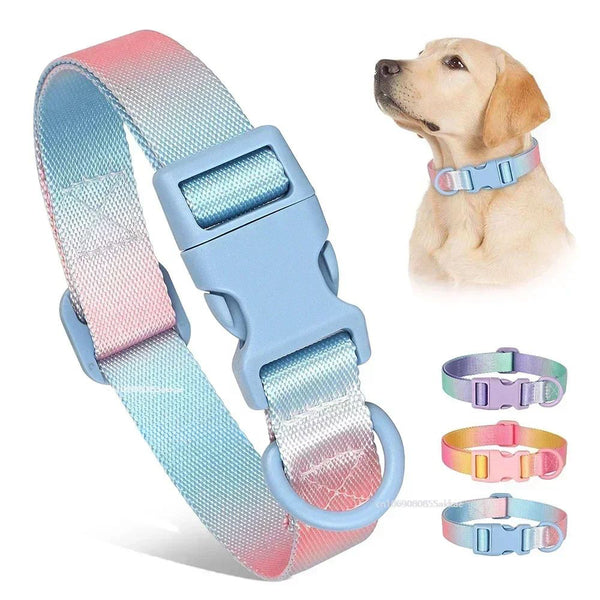 Adjustable Nylon Gradient Pet Collar
