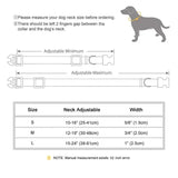 Adjustable Nylon Gradient Pet Collar