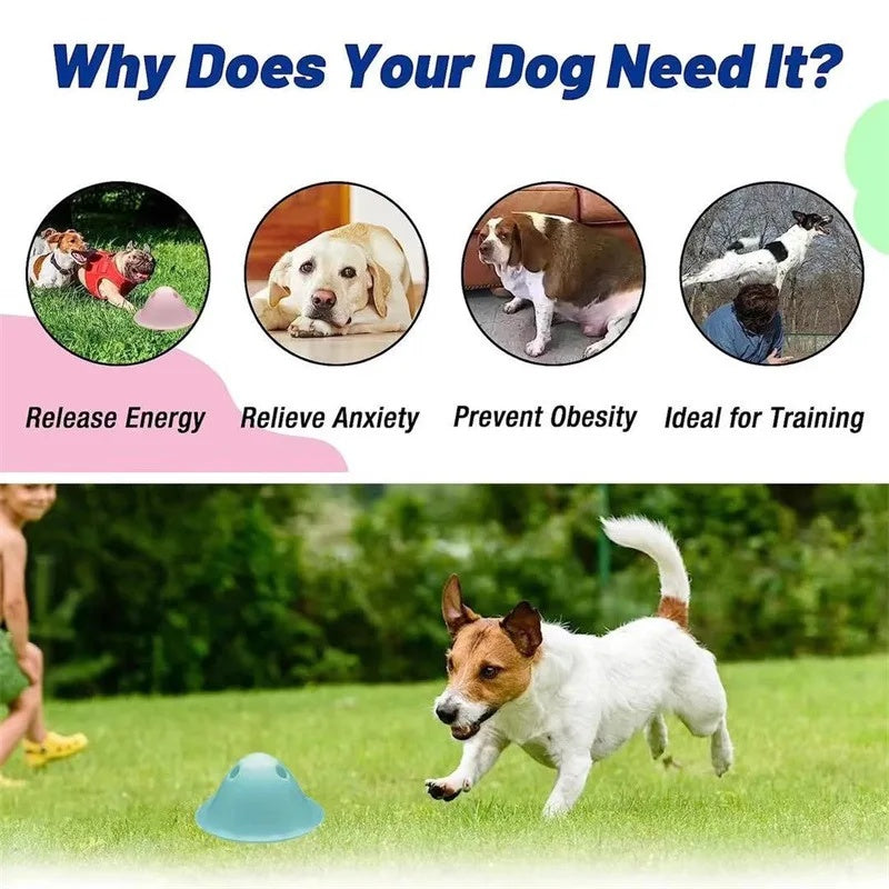 Dog Chew Interactive Puzzle Toy