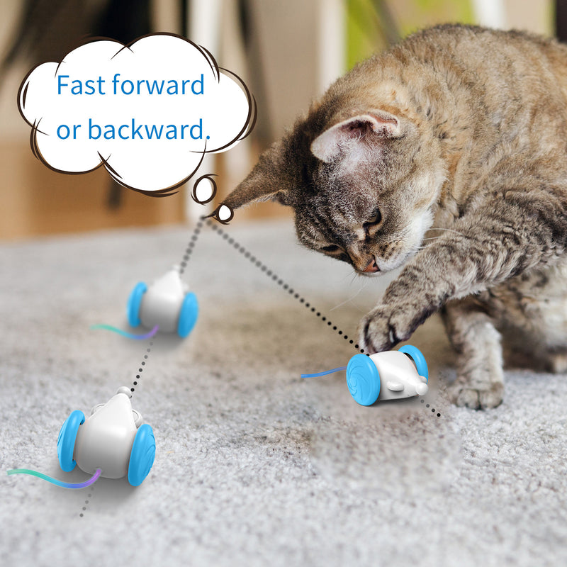 Interactive Luminous Mouse Toy